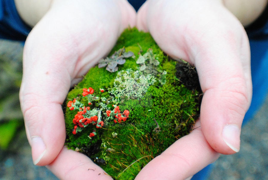 Handscape Handscape by Skyelar on DeviantArt