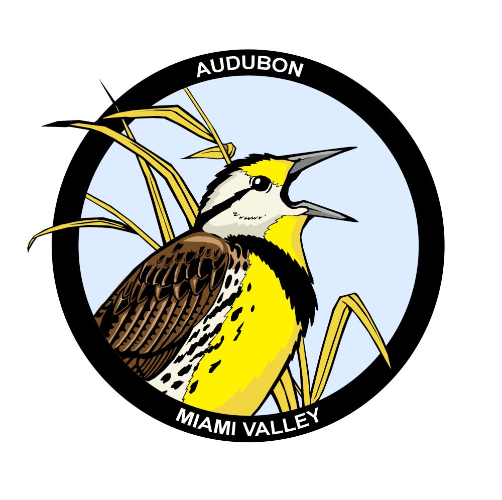 Audubon Logo - Meadowlark