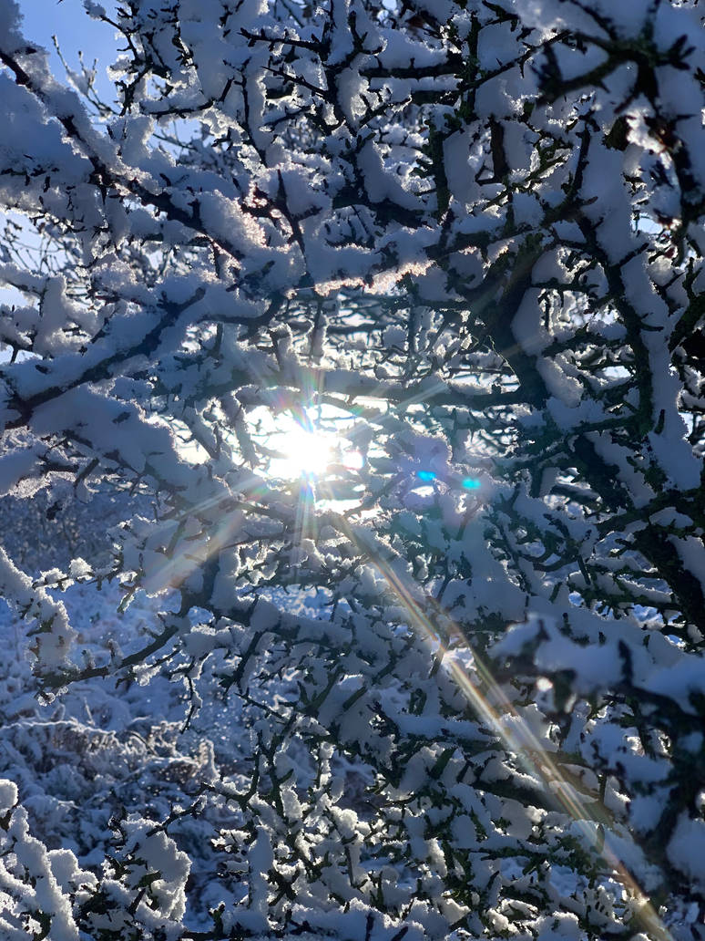 Weak rays by MoonageDaydream42 on DeviantArt