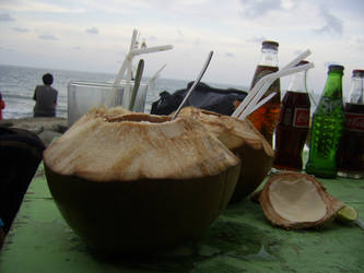 Coconut