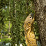 Climbing trees