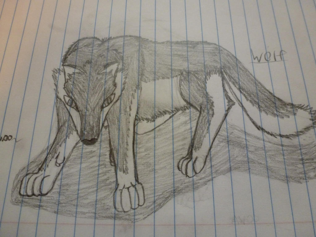 Wolf Draw ouo