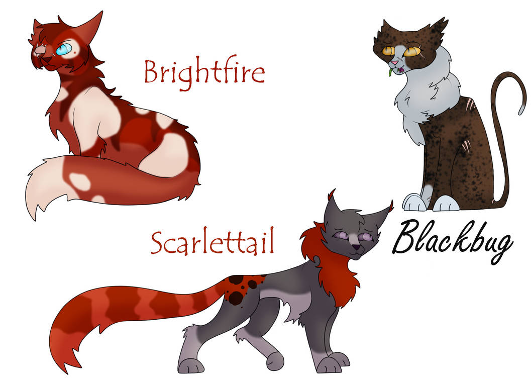 Another Randomized Warrior Cats Wiki Set by TigerLilyStudios on