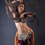 Belly Dancer 1