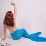 mermaid 19