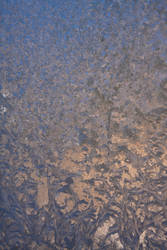 Frost Texture 1