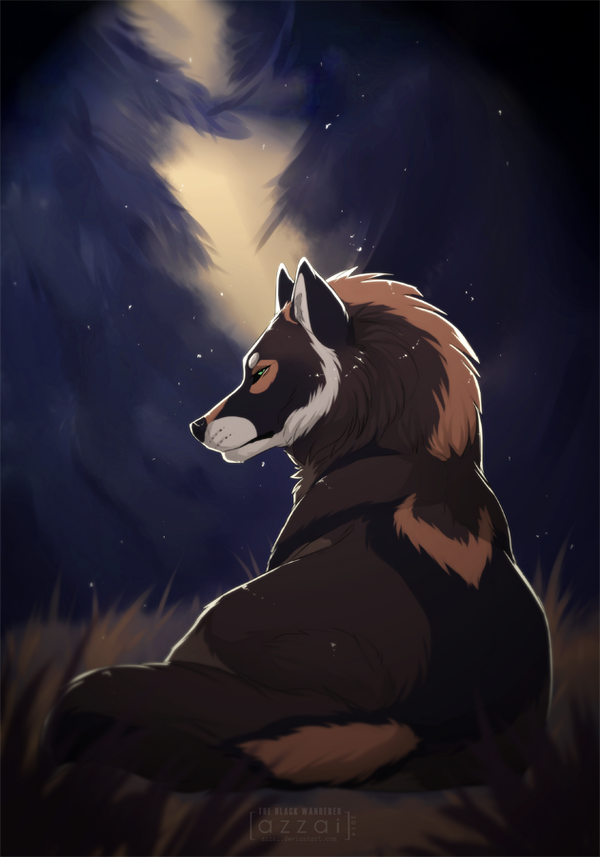 Animal Jam Owner Animal Jam Owner