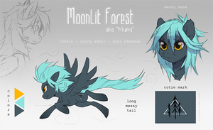 Moonlit Forest | reference
