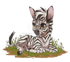 little zebra