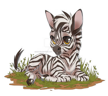 little zebra