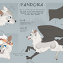 reference sheet | Pandora