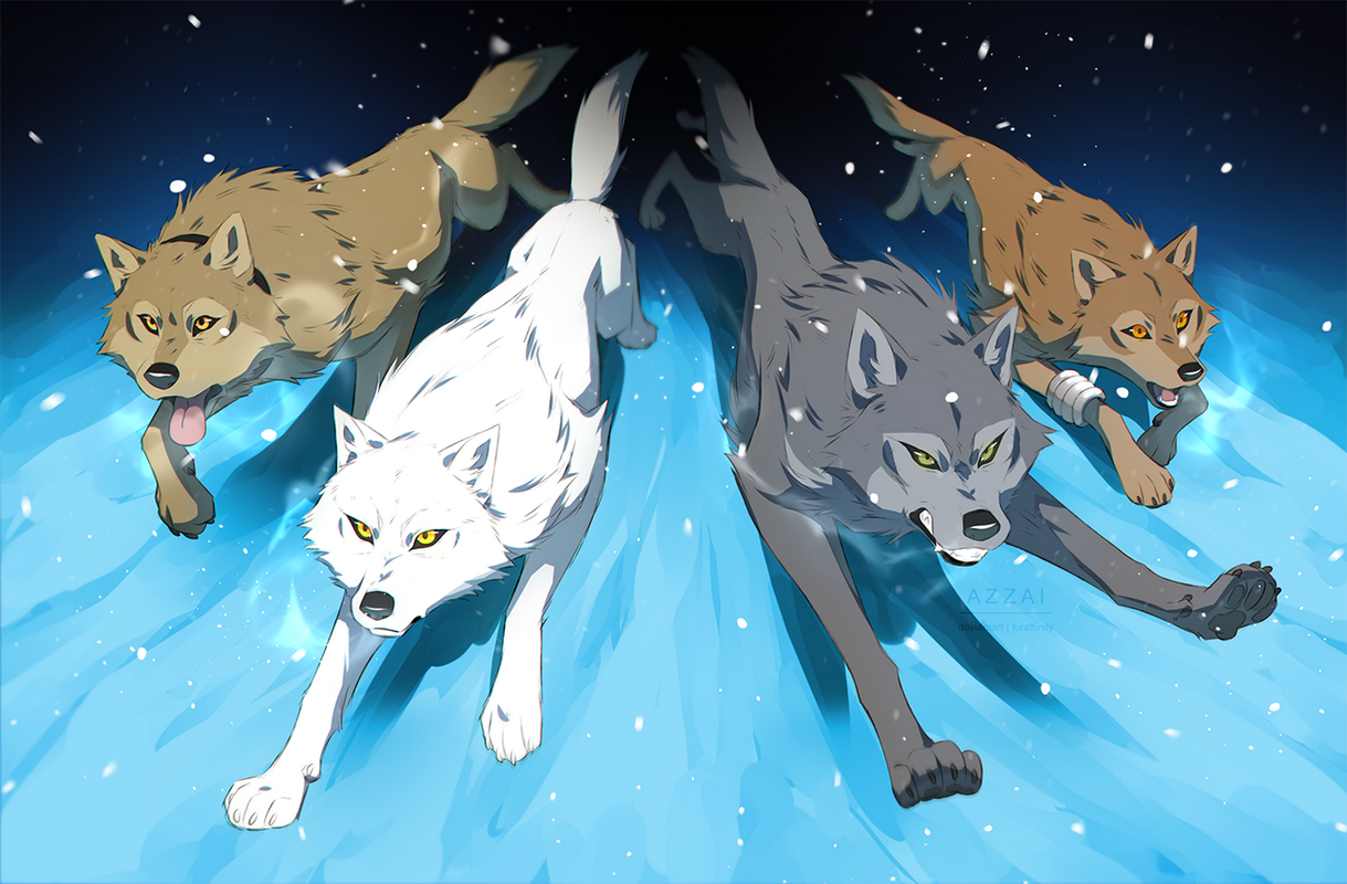 Wolf's Rain | following