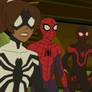 The spider team