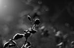 Beyond Eons by Reyna311
