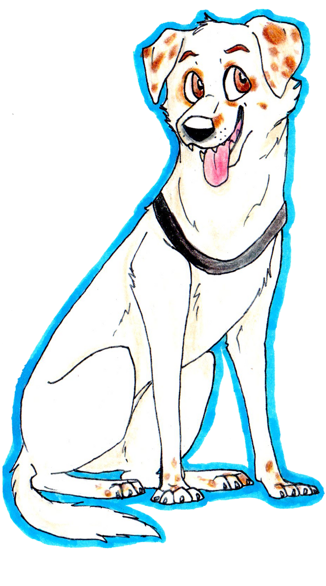 Wonder Mut Real Life Wonder Mutt- Glacier by Wonderstuckk on DeviantArt