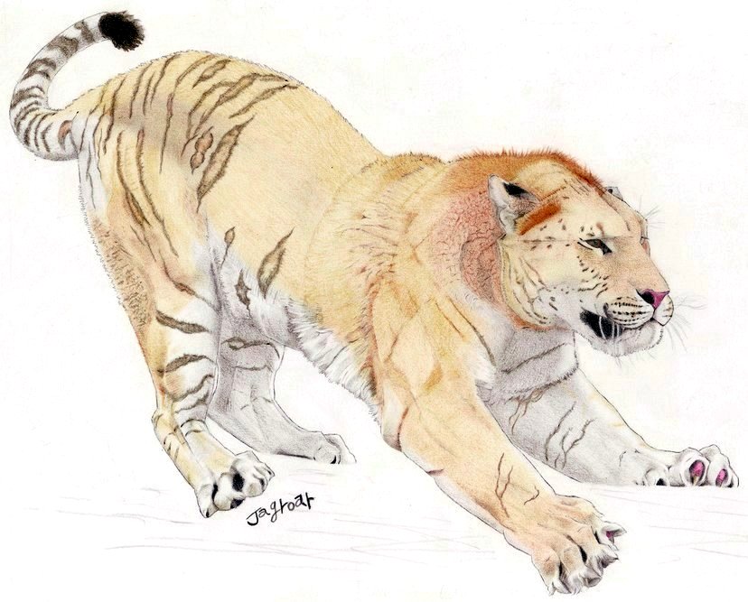 Panthera leo spelaea by Leogon on DeviantArt