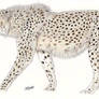 Giant Cheetah