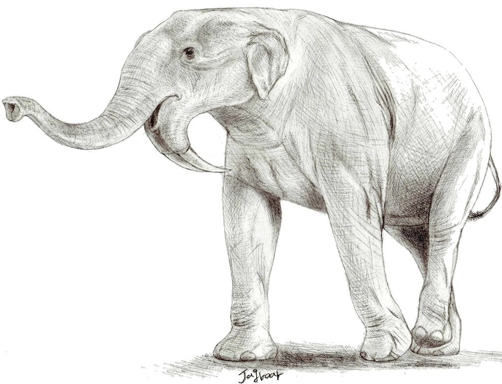 Deinotherium thraceiensis