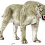 Giant Scimitar-toothed cat