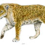 Paleo jaguar