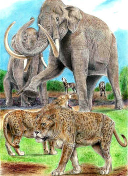 Prehistoric Safari: Pleistocene La Brea,California