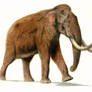 Asiatic Steppe Mammoth (Songhua River mammoth)