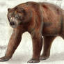 South American Giant Short-faced Bear