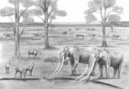 Prehistoric Safari : The Pliocene Greek fauna