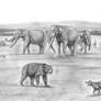 Prehistoric Safari:The late Miocene Eastern Africa