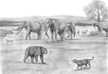 Prehistoric Safari:The late Miocene Eastern Africa by Jagroar