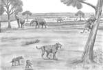 The late Miocene Eastern Africa Part 2