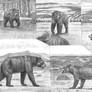Battle beyond Epochs 2 Big Bears and Beardog study