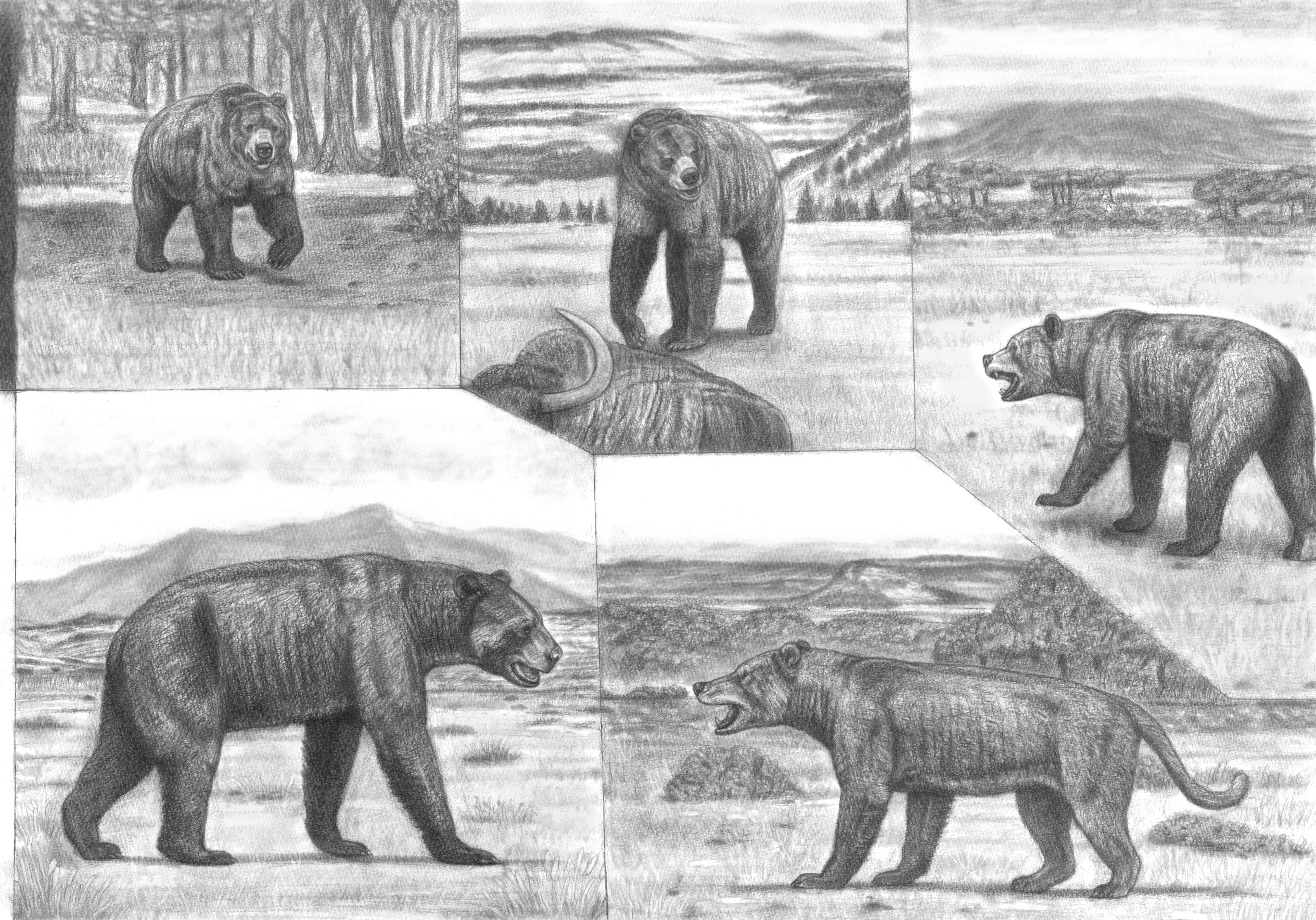 Battle beyond Epochs 2 Big Bears and Beardog study