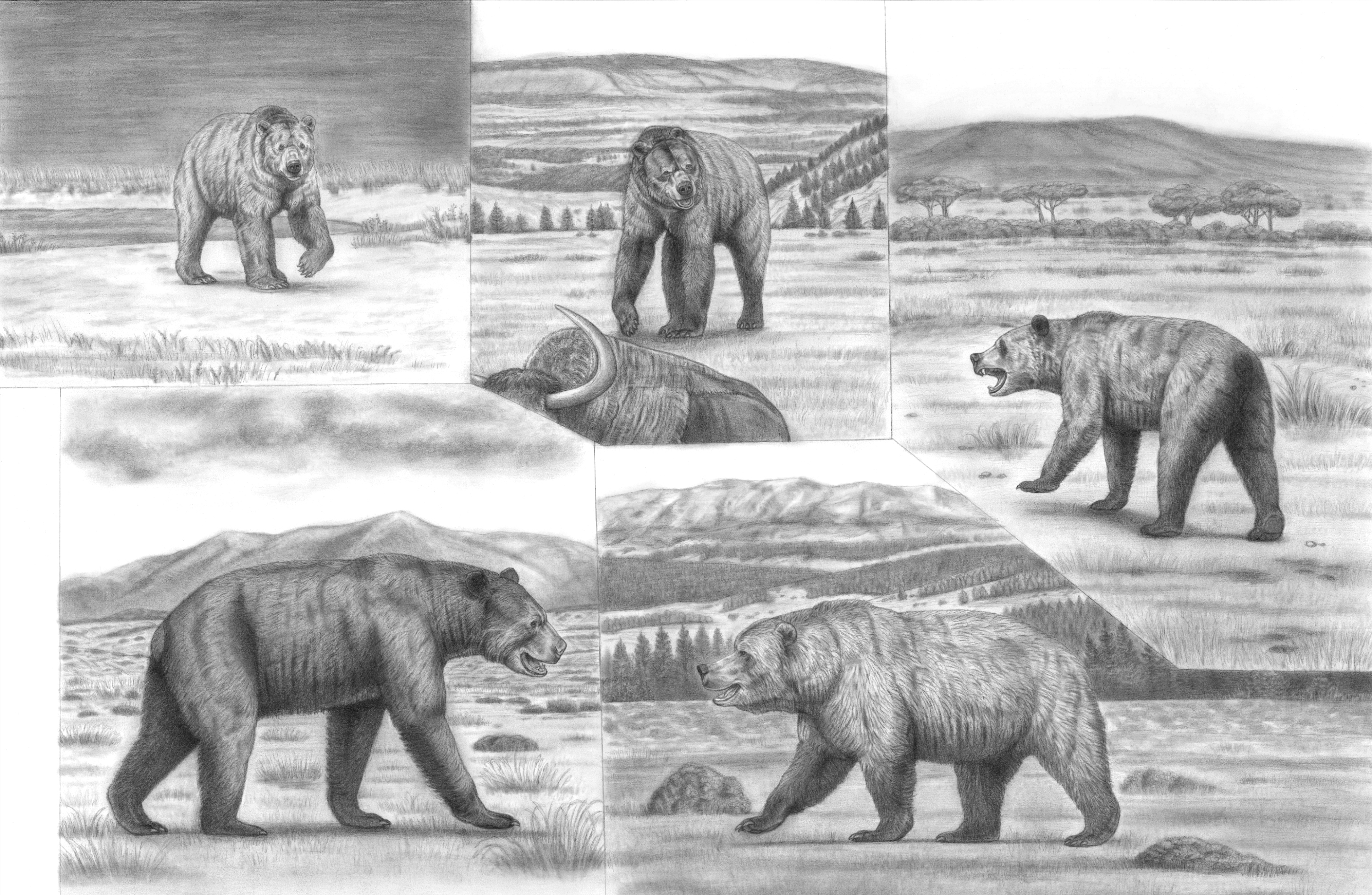 Battle Beyond Epochs 3 : The most colossal Bears