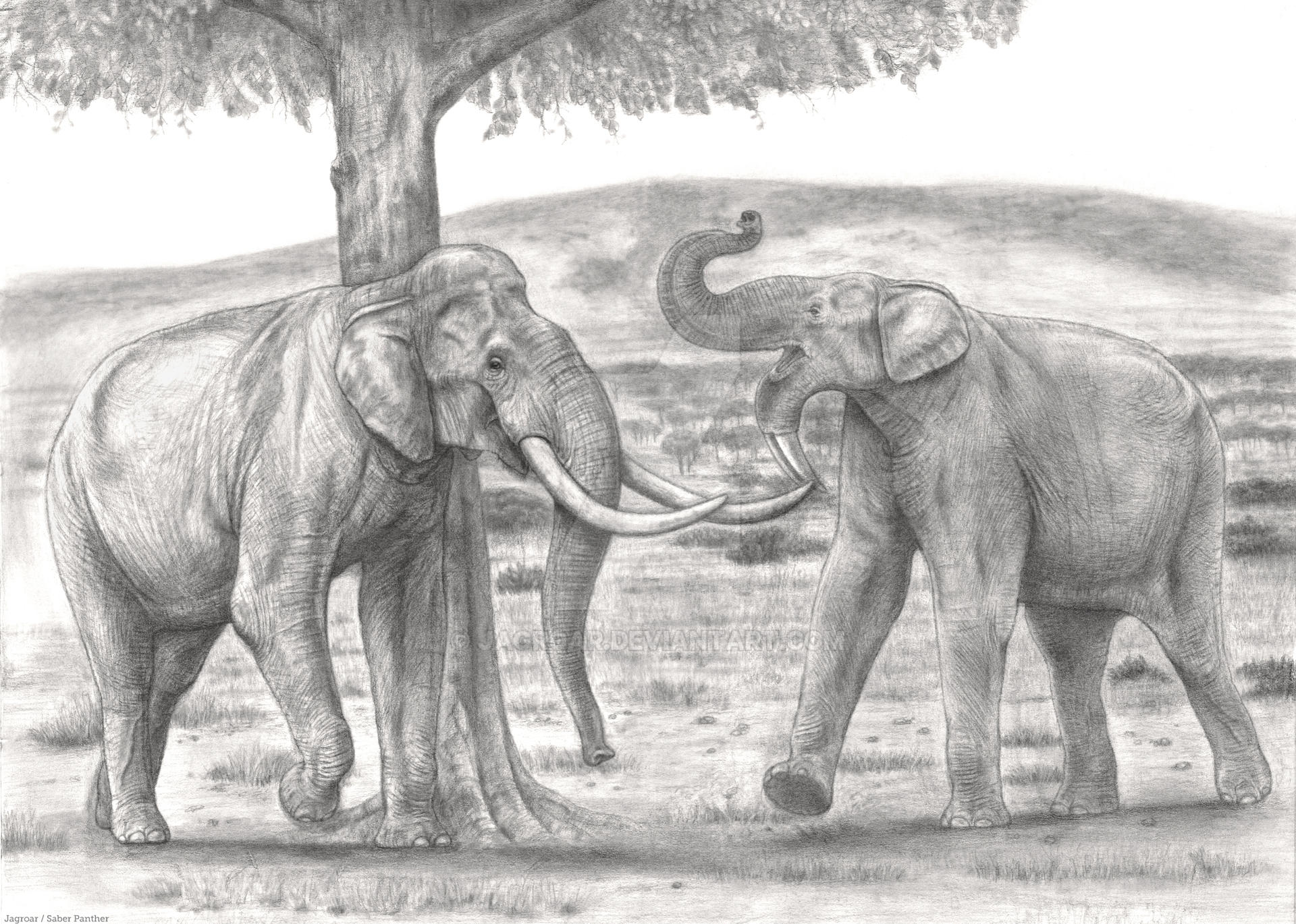 Atavus Reeves 'Elephas atavus' vs Deinotherium bozasi (Test) by Jagroar on DeviantArt