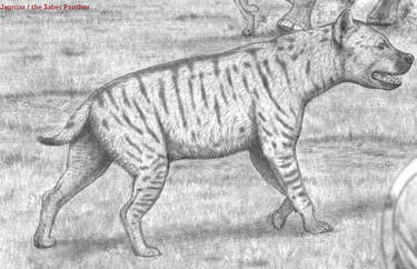 Pachycrocuta :Giant Short-faced Hyena Restoration