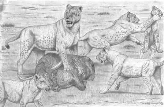 'Mega Cave lion vs Homotherium pack! (sneak-peak)'