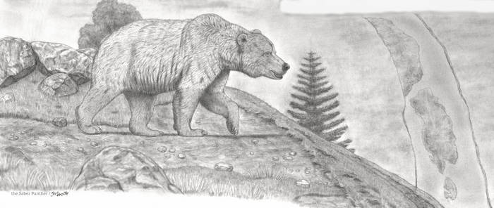Middle Pleistocene Giant Brown Bear! (sneak-peak)