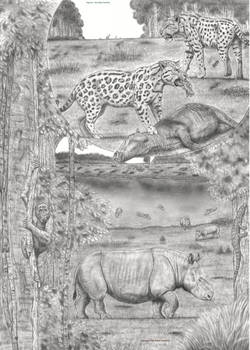 Miocene S.E.Asia 'Saber Cats and Bone Crusher Cat?