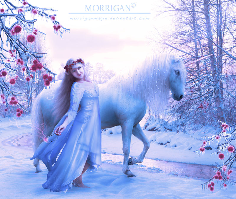 Winter elf by Morrigan-LE on DeviantArt