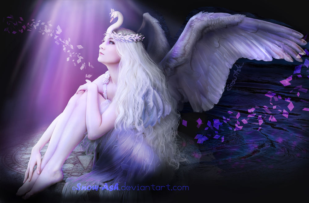 Swan by Morrigan-LE Swan by Morrigan-LE