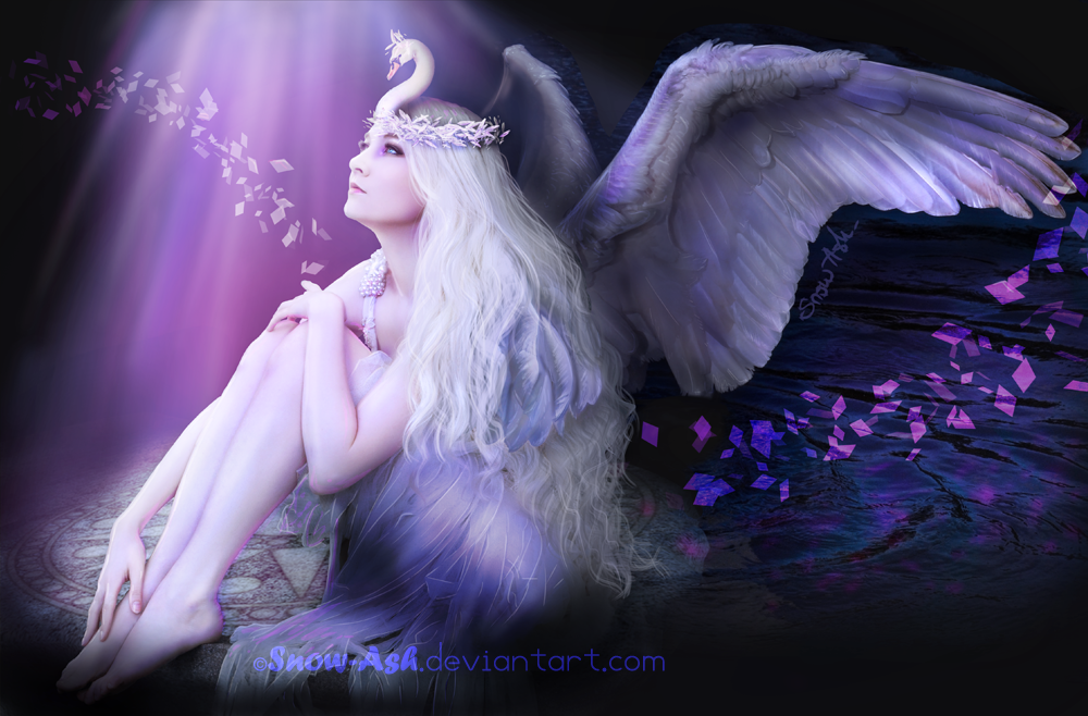 Swan by Morrigan-LE Swan by Morrigan-LE