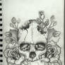 Skull Tattoo Design