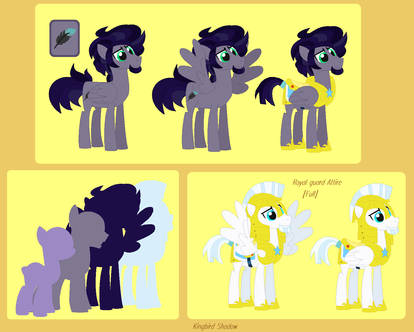 HR-NG: Kingbird Shadow