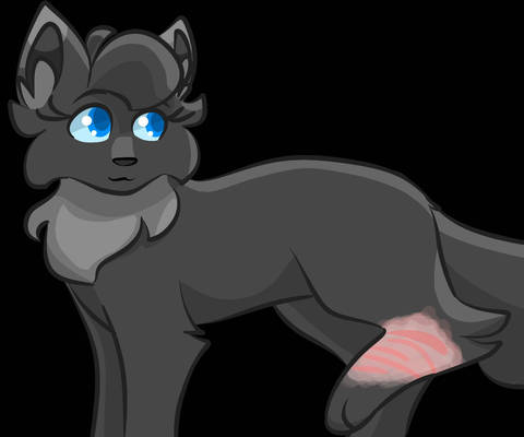 Cinderpelt 2.0