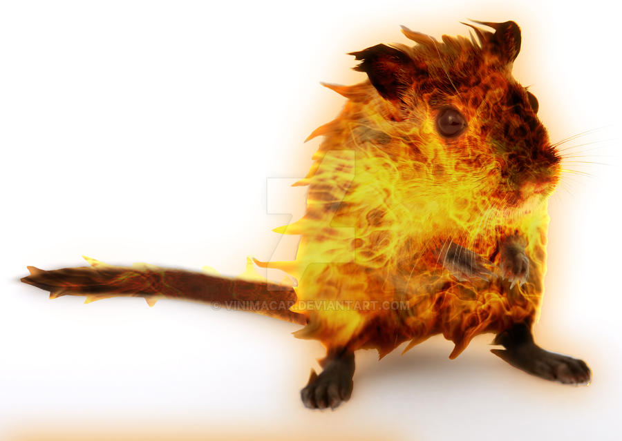 Fire Mouse by vinimacar on DeviantArt