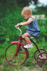 Little Red Tricycle