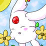 Picking flowers.:Mokona.:TRC:.