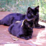 Flashback: Baby and Mr. Fluff