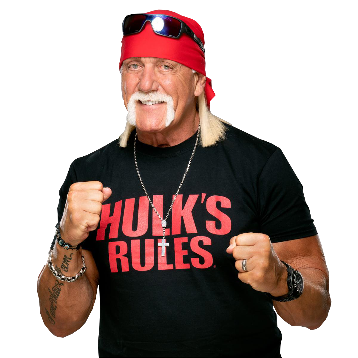Hulk Hogan Logo Png